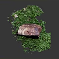 Red Natural Stone with Green Moss on Dark Background and Reflection Texture