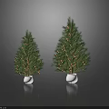 Two Large and Small Arbor Trees in White Pots With Golden Ornaments