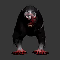 Fierce Black Wolf With Red Paws And Tail Standing On White Background With Aggressive Look