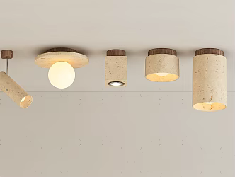 Quiet ceiling lamp Cave stone ceiling lamp 3d model
