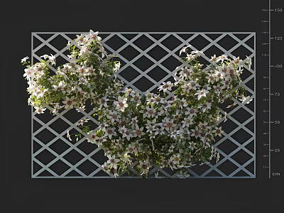 Lush Vines Climbing on White Lattice Trellis with White Flowers 3d model