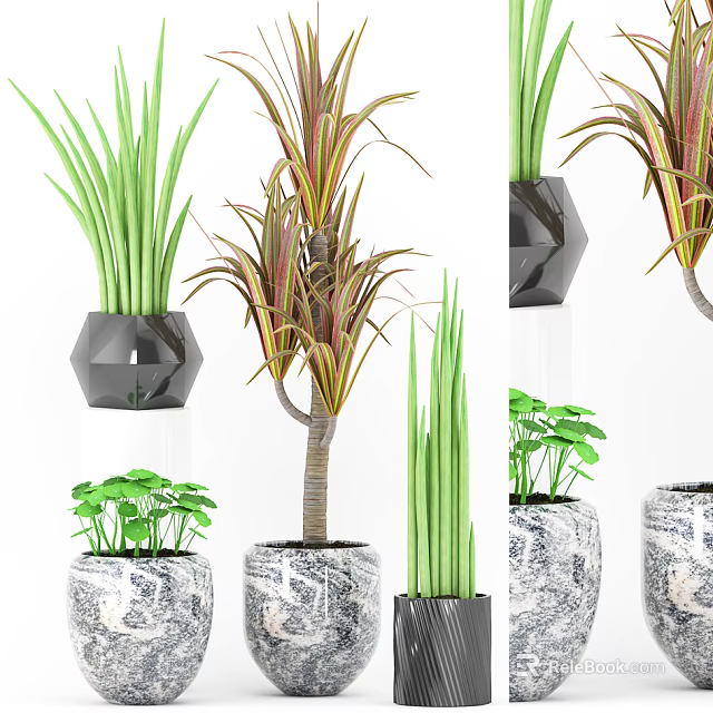 Indoor Decorative Bonsai Potted Plants With Green And Colorful Foliage In Geometric Marble Pots 3d model 