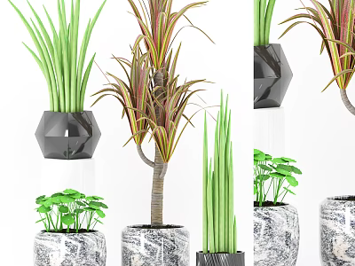 Indoor Decorative Bonsai Potted Plants With Green And Colorful Foliage In Geometric Marble Pots 3d model
