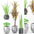 Indoor Decorative Bonsai Potted Plants With Green And Colorful Foliage In Geometric Marble Pots