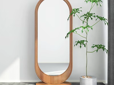 Oval Wooden Frame Floor Mirror With Green Plant In White Pot Modern Interior 3d model