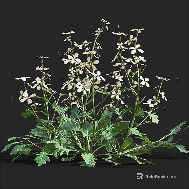 White Flowers With Green Leaves And Stems In Natural Plant 3d model 