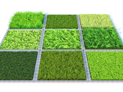 Various Types of Green Grass Arranged in Square Sections with Different Color Tones 3d model
