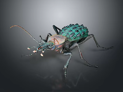 Green Spiked Beetle Detailed Closeup With Textured Exoskeleton On Dark Surface 3d model