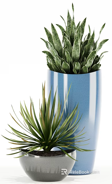 Green Leafy Bonsai Potted Plants in Blue Ceramic Pot for Interior Decor 3d model 