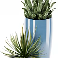 Green Leafy Bonsai Potted Plants in Blue Ceramic Pot for Interior Decor