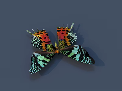 Butterfly Colored Butterfly Tabby Butterfly Leaf Butterfly Flying Animal Flying Insect Insect Animal 3D Model 3d model