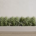 Potted Green Grass And White Flowers In Rectangular Planter On Wooden Floor 3d model