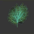 Green Bushy Tree With Dense Leaves For Garden Landscape Decoration