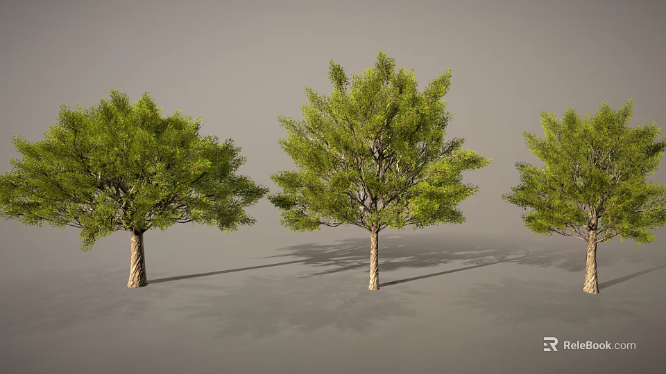 Cartoon Scenery Featuring Three Green Trees Brown Trunks And Shadows On Gray Background 3d model 