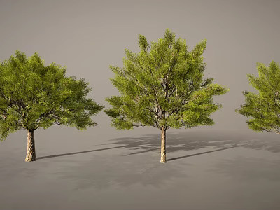 Cartoon Scenery Featuring Three Green Trees Brown Trunks And Shadows On Gray Background 3d model