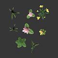 Colorful Assorted Plants Including Pink Lotus Yellow Flowers Ferns and Green Leaves