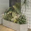 Potted Plants In Concrete Rectangular Planter With Tropical Leaves Palm Cactus And Small White Flowers
