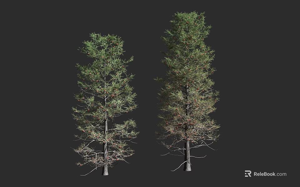 Two Arbor Trees With Lush Green Foliage And Withered Branches On Black Background 3d model 