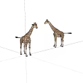 Two Giraffes Standing Face To Face On White Background With Spotted Patterns 3d model