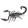 Realistic Black Scorpion Reptile With Shiny Exoskeleton Claws And Tail