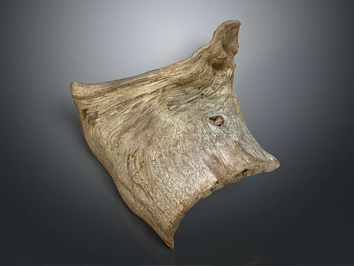 Natural Wooden Stone Decorative Piece With Rustic Texture Unique Shape And Hole 3d model