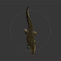 Realistic Crocodile 3D Model With Detailed Skin Texture Open Mouth Sharp Teeth Dark Background Reflection 3d model