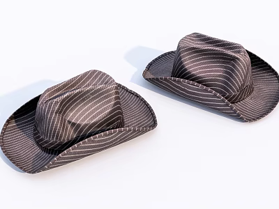 Two Stylish Striped Wide Brimmed Hats For Fashionable Outfits And Daily Wear 3d model
