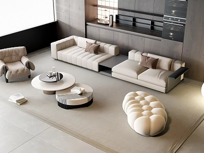 Modern Combination Sofa