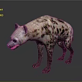 Spotted Hyena Standing on Gray Background with Open Mouth and Realistic Fur