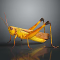 Yellow Grasshopper With Brown Wings And Long Hind Legs On Gray Reflective Surface 3d model