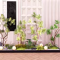 Stylish Indoor Garden Landscape With Green Plants Stones Grass And White Orbs On Wooden Floor