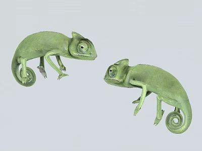 3D Render Of Two Green Reptile Chameleons With Curled Tails Facing Each Other 3d model