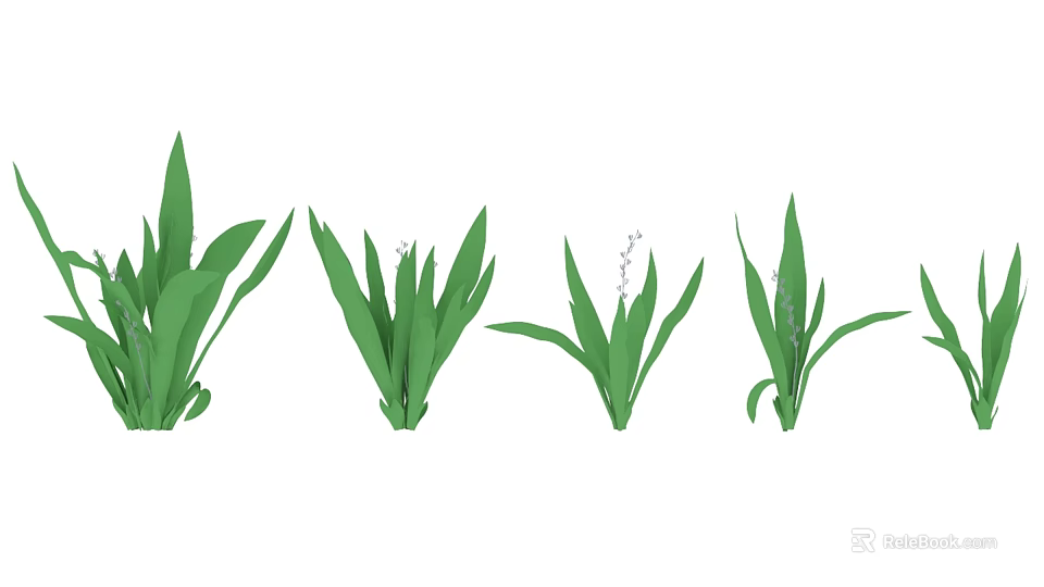 Green Leafy Plants With Long Leaves And Small White Flowers In Natural Setting 3d model 