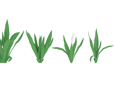Green Leafy Plants With Long Leaves And Small White Flowers In Natural Setting 3d model