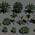 Various Tropical Trees Collection With Diverse Foliage And Trunk Features 3d model