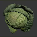 Fresh Green Cabbage with Vibrant Leaves Isolated on Dark Background Surface 3d model