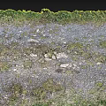 Unpaved Road Infrastructure With Gravel Surface Grass Edges And Scattered Stones