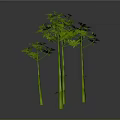 Green Bamboo Plants with Lush Green Leaves and Tall Straight Stems