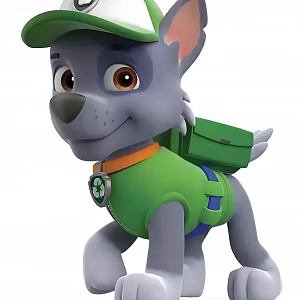 Wang Team Collection 3d model