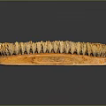 Long Wooden Handle Brush With Dense Natural Yellow Bristles For Cleaning