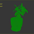 Green Leafy Potted Plant with Bulbous Root in Brown Pot with White Dots