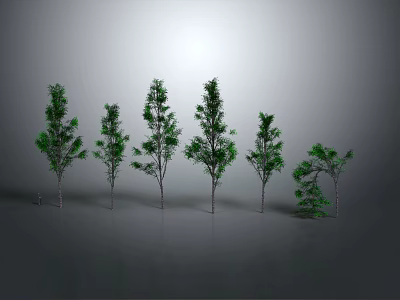 Green Trees With Different Shapes And Sizes Arranged In A Row On Grey Background 3d model