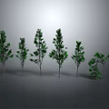 Green Trees With Different Shapes And Sizes Arranged In A Row On Grey Background