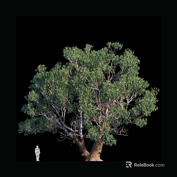 Lush Green Arbor With Dense Foliage And Sturdy Trunk Against Black Background 3d model 