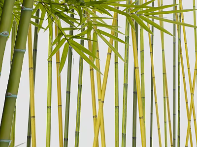 Lush Bamboo Grove With Green Yellow Stalks And Fresh Vibrant Leaves 3d model