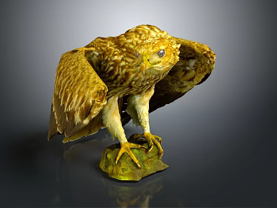 Golden Brown Eagle Perched On Stone Base With Spread Wings And Detailed Feathers 3d model Golden Brown Eagle Perched On Stone Base With Spread Wings And Detailed Feathers 3d model