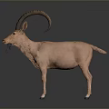 Realistic Brown Antelope With Long Curved Horns Smooth Coat And Erect Ears Standing