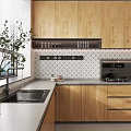Modern Kitchen Interior With Wooden Cabinets Marble Countertop Sink Gas Stove And Green Plant