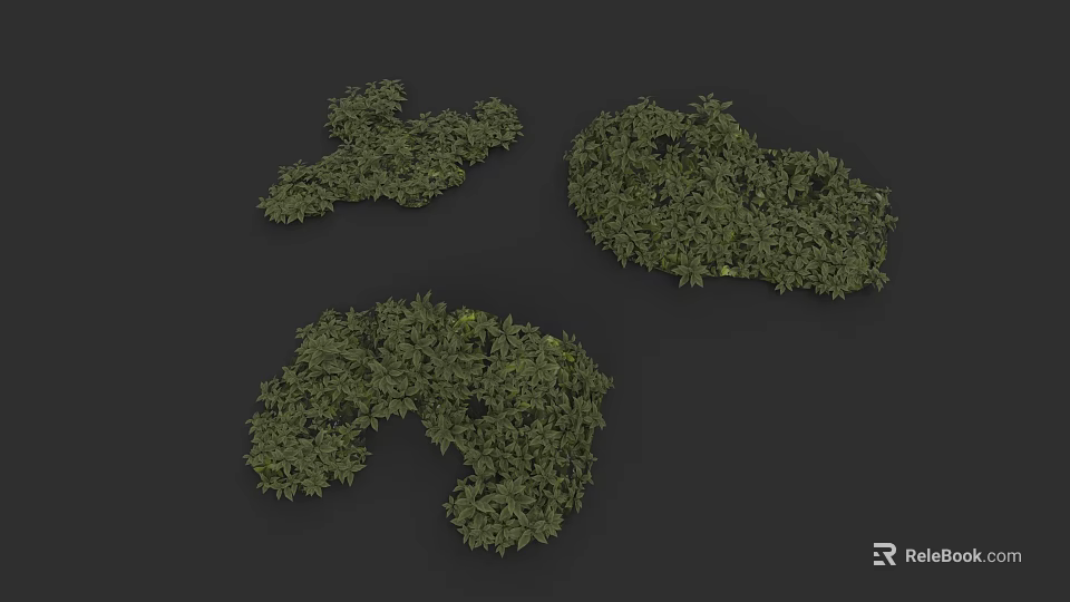 Three Lush Green Bushes With Dense Foliage On Black Background 3d model 