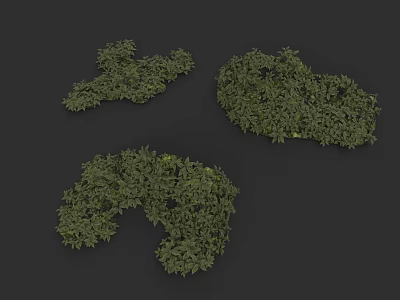 Three Lush Green Bushes With Dense Foliage On Black Background 3d model